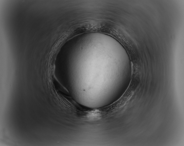 X0000094451153200711081259