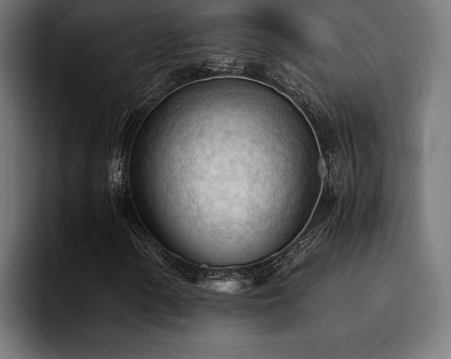X0000094451154200711081259