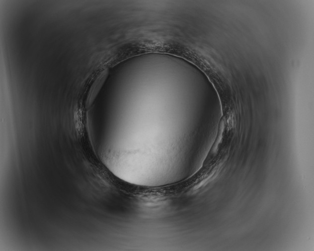 X0000094451156200711081259