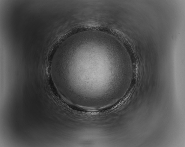 X0000094451157200711081259