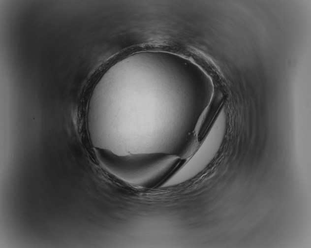X0000094451160200711081259