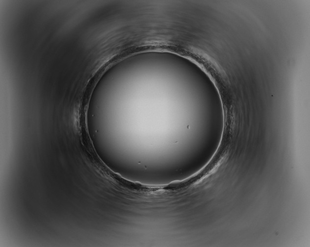 X0000094451162200711081259