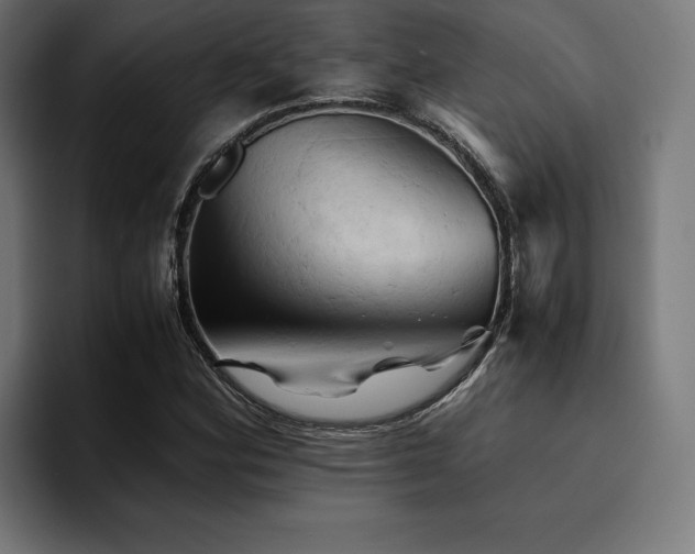 X0000094451164200711081259