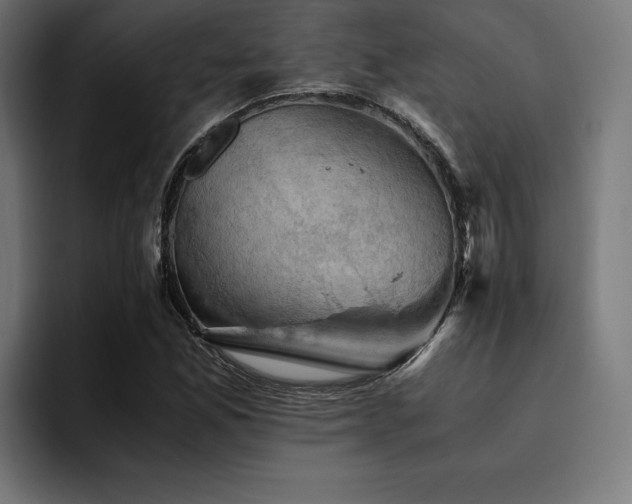 X0000094451165200711081259