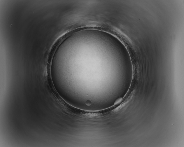 X0000094451166200711081259