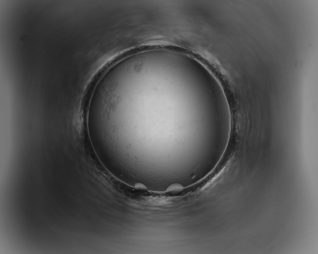 X0000094451167200711081259