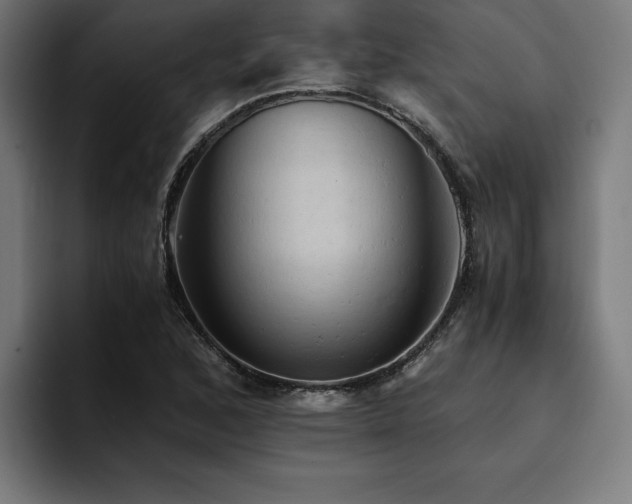 X0000094451168200711081259