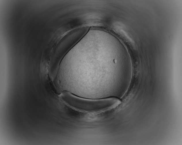 X0000094451169200711081259