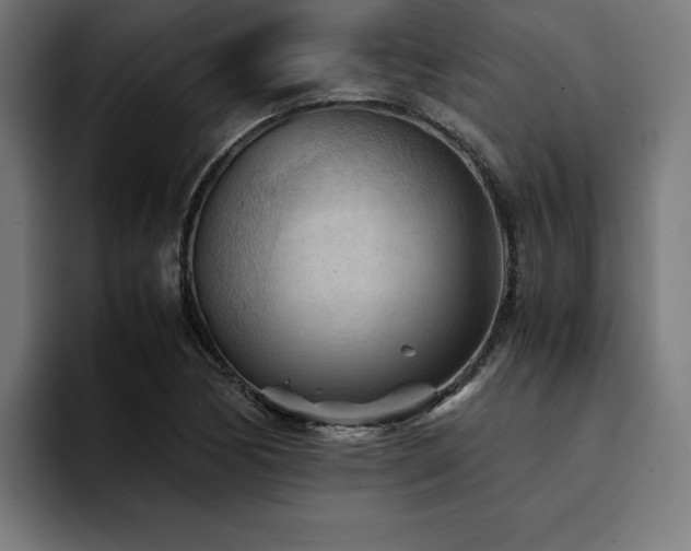 X0000094451170200711081259