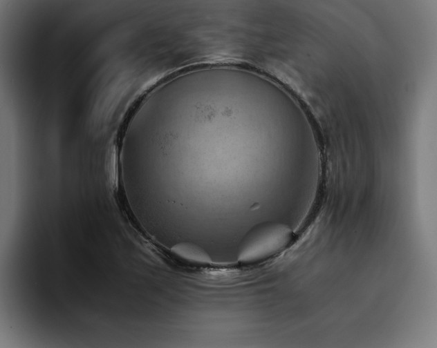 X0000094451171200711081259