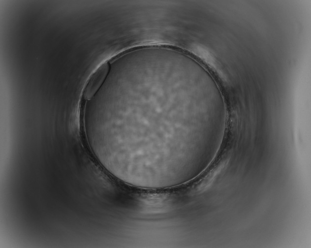 X0000094451173200711081259