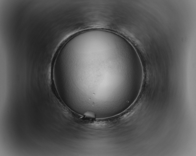 X0000094451174200711081259