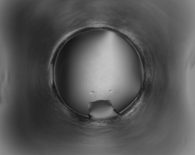 X0000094451175200711081259