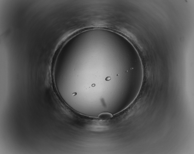X0000094451176200711081258