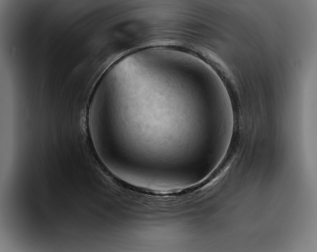 X0000094451177200711081258