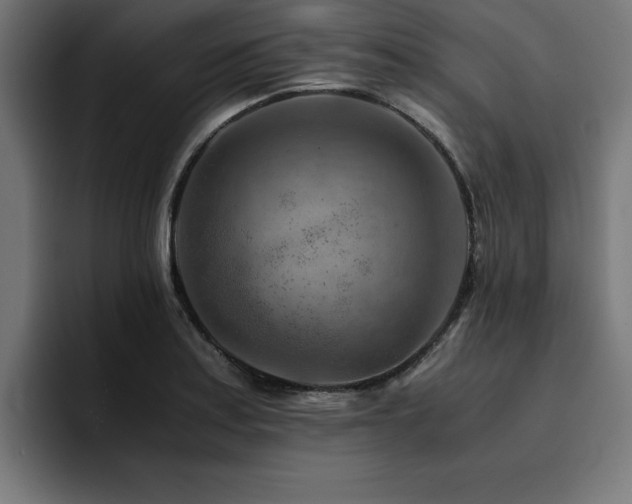 X0000094451179200711081258