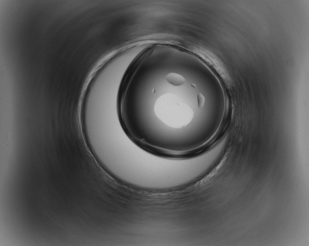 X0000094451180200711081258