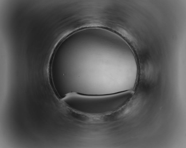 X0000094451181200711081258