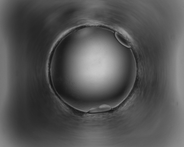 X0000094451183200711081258
