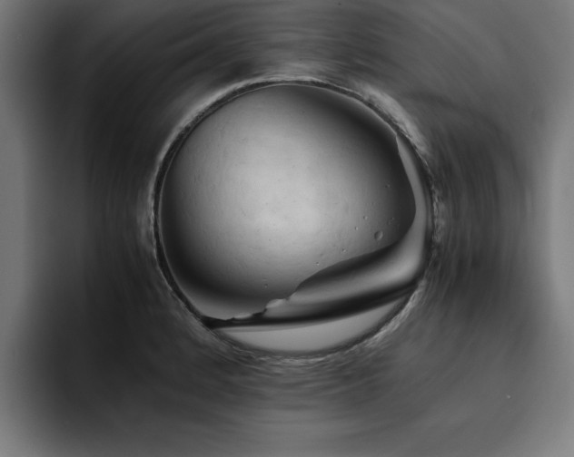 X0000094451184200711081258