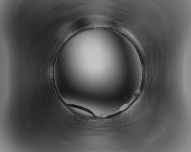 X0000094451185200711081258
