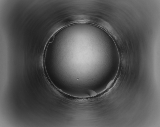 X0000094451186200711081258