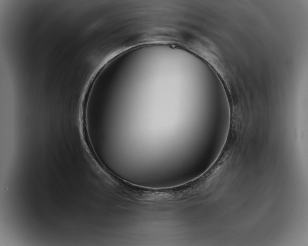 X0000094451187200711081258