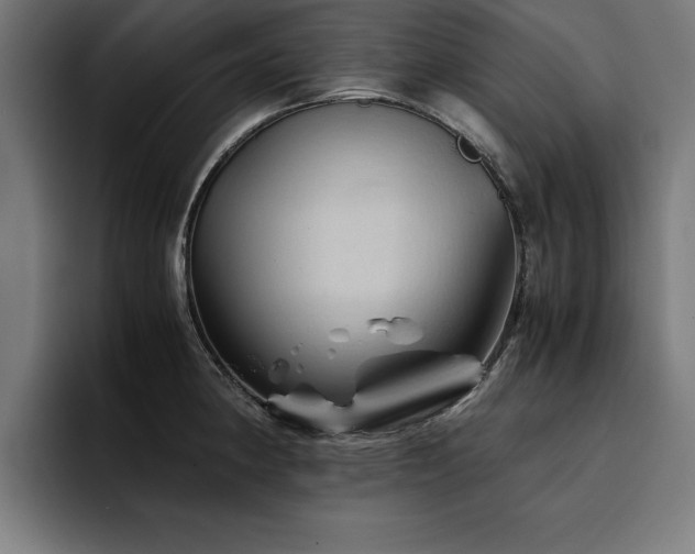 X0000094451190200711081258