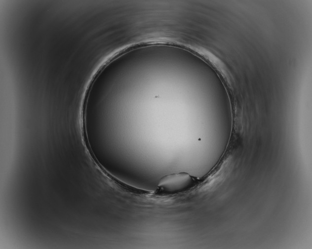 X0000094451191200711081258