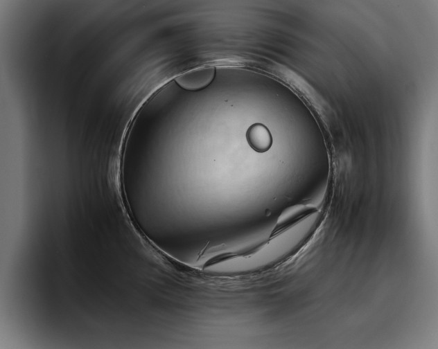 X0000094451194200711081258
