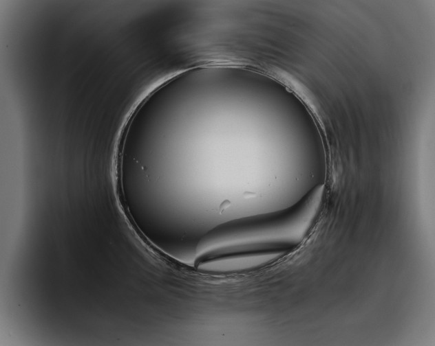 X0000094451195200711081258