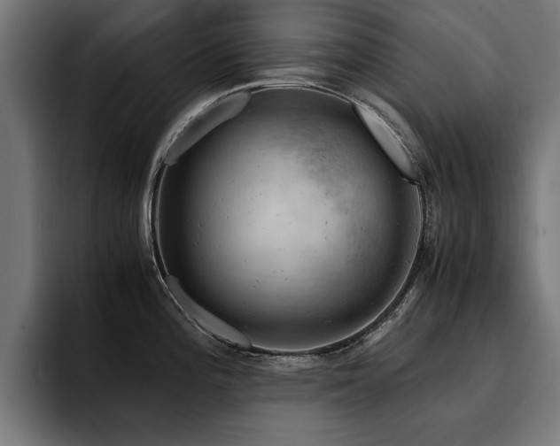 X0000094451196200711081258