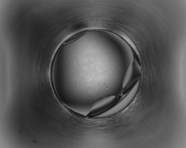 X0000094451197200711081258