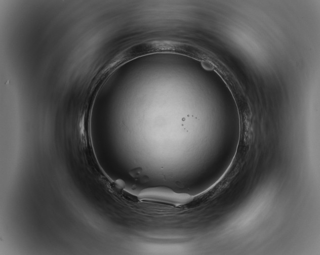 X0000094451198200711081258