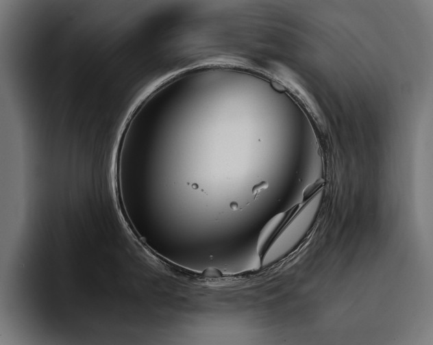 X0000094451199200711081258