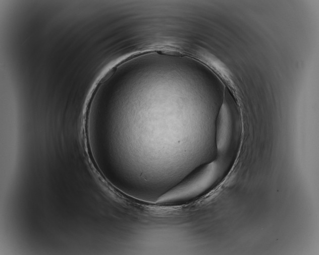 X0000094451200200711081258