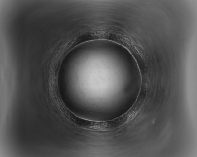 X0000094451201200711081258