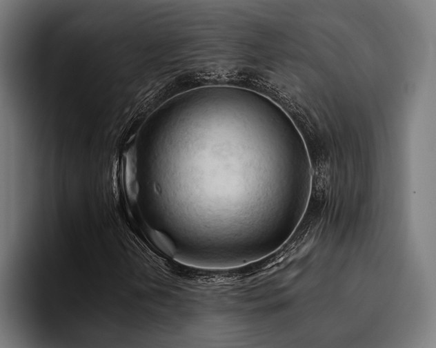 X0000094451202200711081258