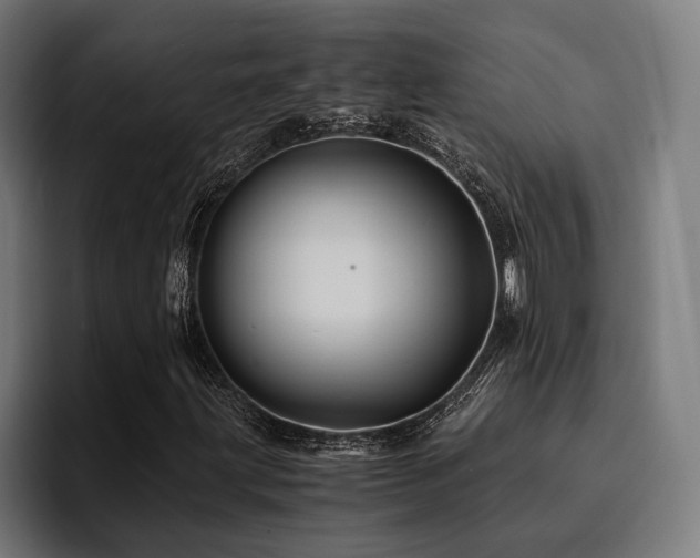X0000094451203200711081258
