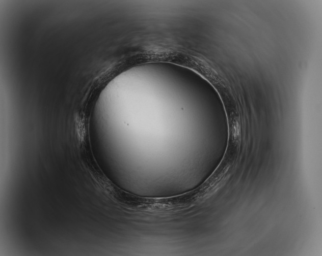 X0000094451204200711081258
