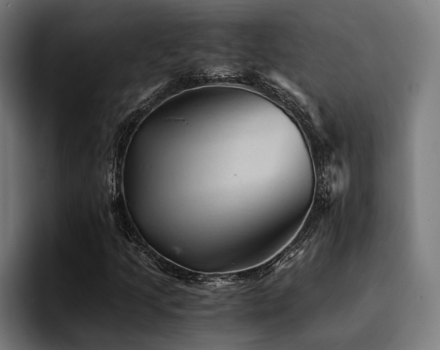 X0000094451205200711081258