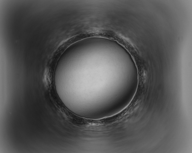 X0000094451206200711081258