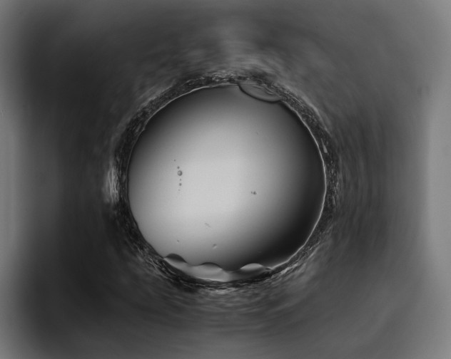 X0000094451207200711081258