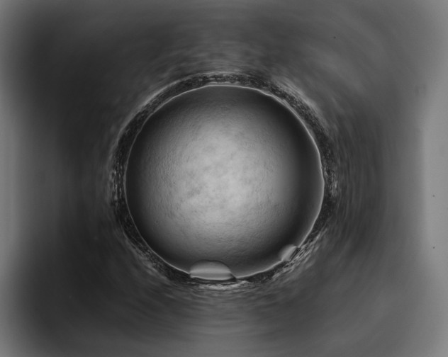 X0000094451208200711081258