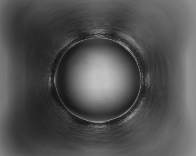 X0000094451209200711081258