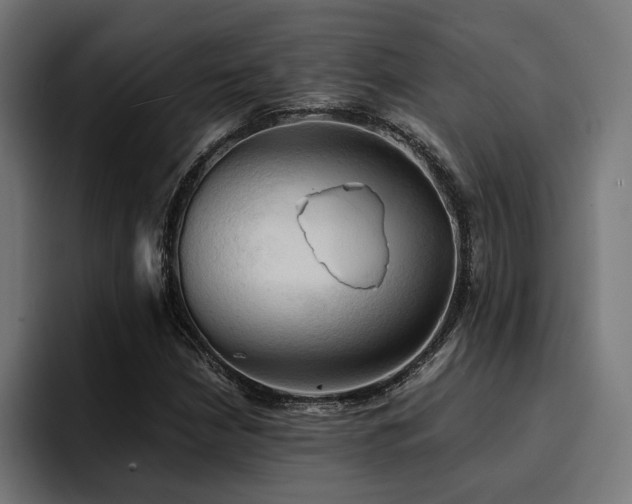 X0000094451210200711081258