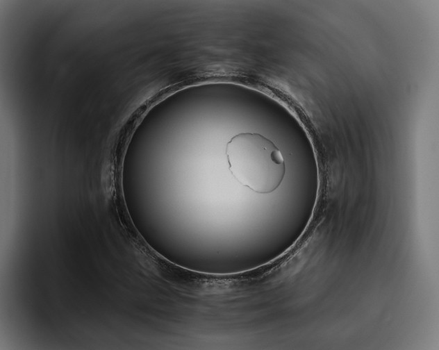 X0000094451211200711081258