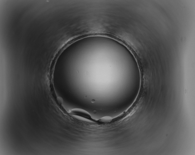 X0000094451212200711081258