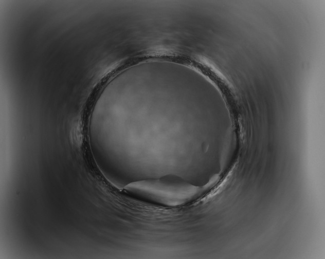 X0000094451213200711081258