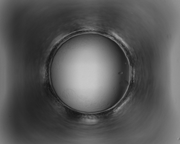 X0000094451215200711081258